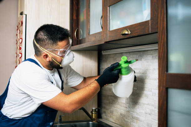 Trusted Sheldon, TX Pest Control Experts