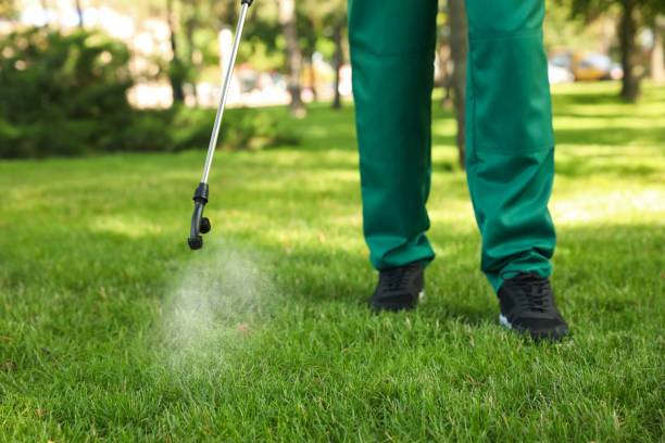 Insect Control in Sheldon, TX