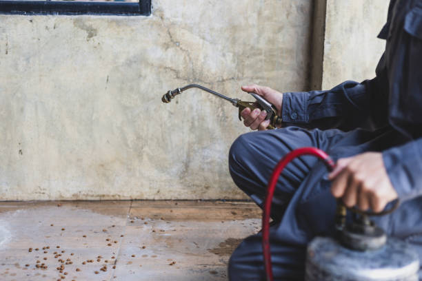 Best Pest Control Near Me  in Sheldon, TX